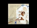 David Crosby- The Other Side of Midnight