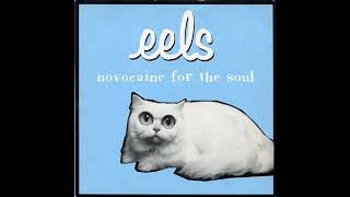Eels - Novocaine For The Soul