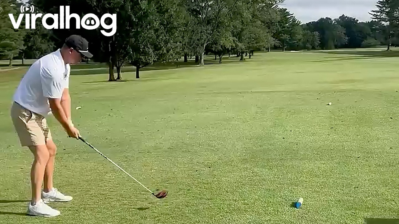 Golfer Makes a Lateral Shot Straight Into Moving Truck || ViralHog