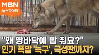 늑구 밥 왜 바닥에? 비난에, 매뉴얼일 뿐 해명에도 여전히 '시끌시끌' - 뉴스파이터