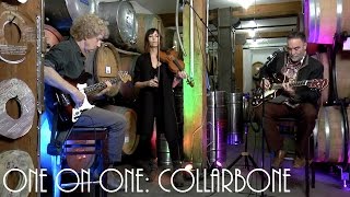 ONE ON ONE: Poi Dog Pondering - Collarbone March 25th, 2017 City Winery New York