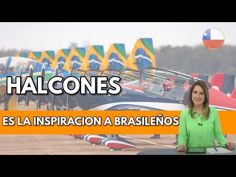 In love with the falcons of the fach. 🇧🇷🇨🇱