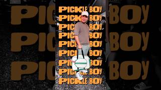 Download lagu PICKLE BOY mp3