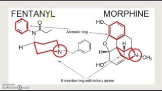 How was Fentanyl derived from Morphine?