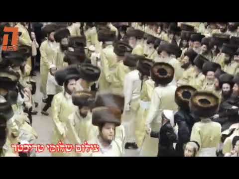 Toldos Aharon Wedding - Sivan 5784