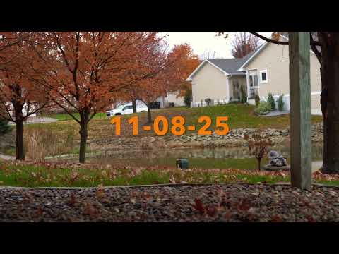 FallingLeaves&Snow 110825