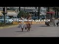 João Gilberto - Coisa Mais Linda [Letra] [Legendado]