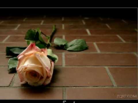 Toppen, Estet & Huber- Vi vet hur det känns