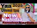 Nashiidaa Haaraya New Nashiidaa Neshida Ethiopia Ethiopian Oromo Oromia Youtube Viralvideo