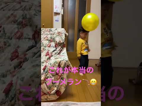 こども学科 #2歳 #2歳半