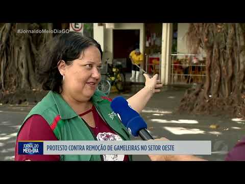 Moradores protestam contra remoção de gameleiras no setor Oeste