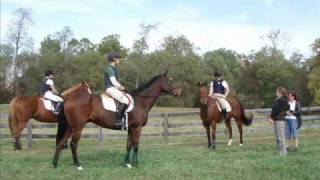 preview picture of video '2010-10-24 USPC C2 Rating Annie Kozlowski'