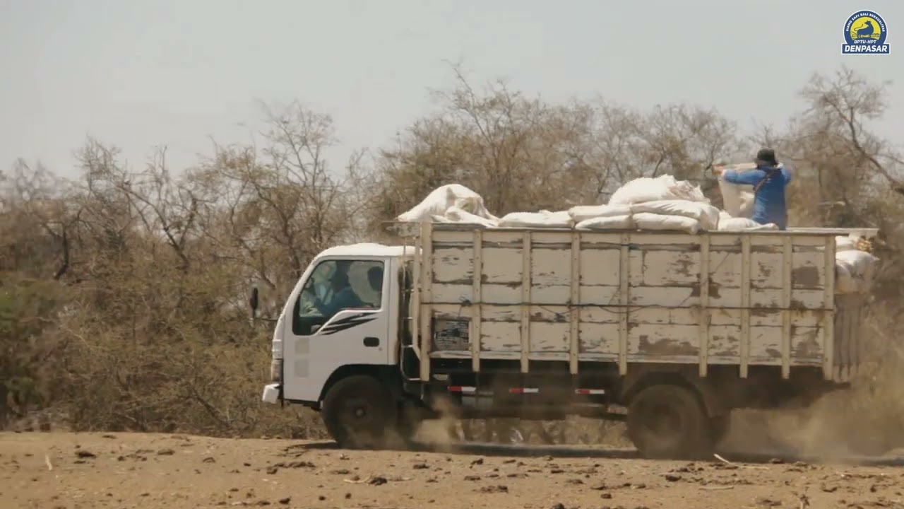 BPTU-HPT DENPASAR BREEDING CENTER DOMPU