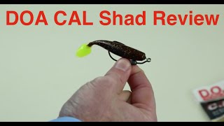 DOA CAL Shad Review (including underwater demo footage)