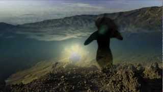 Roy Buchanan - Fly...Night Bird