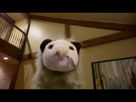 Family Time Message for GSLC, June 14th, 2020