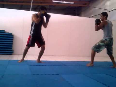 UFC Karlisson Dantas vs Elvis Alves