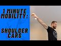 1 Minute Mobility Shoulder CARs