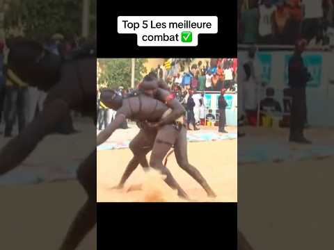 Top 5 les meilleures combats #video #viral #duo #colleg #didou #duet
