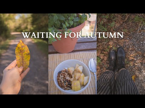the transition from summer to autumn in italy 🍂 a cozy silent vlog