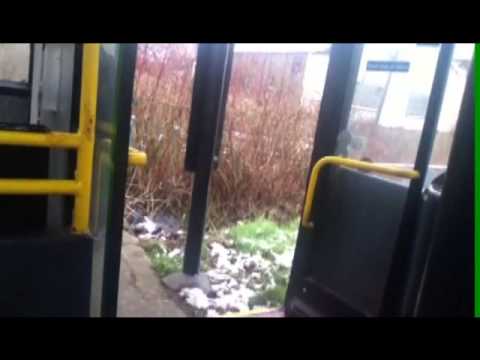 Nu-Venture S527 KFL Marshall Dart