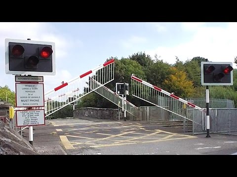 Blakestown Railway Crossing - IE 29000 Class Commuter Train