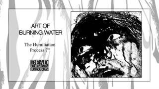 Art Of Burning Water - We Have No Friends
