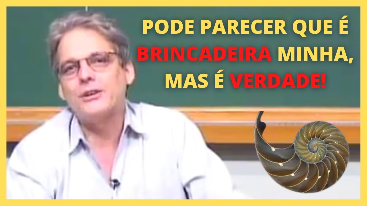 QUAL A RELAÇÃO ENTRE MATEMÁTICA, HUMANO E NATUREZA | Ledo Vaccaro