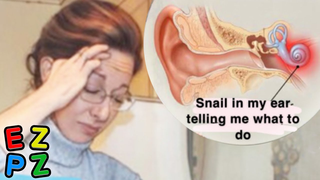 r/Tumblr · the snail controls me...