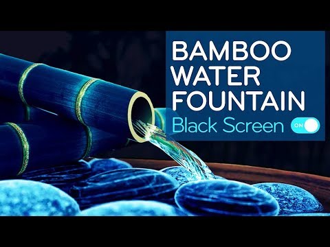 image-Is black stemmed bamboo invasive?