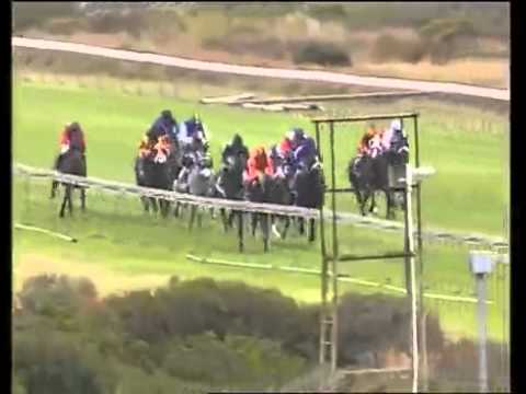 Bush Pirate-SOUTHEASTER SPRINT (Listed) Open 2011-1100m