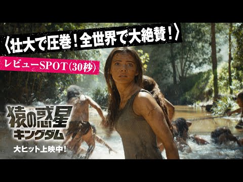 レビューSPOT〈壮大で圧巻！全世界で大絶賛！〉（30秒）