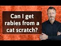 Can I Get Rabies From A Cat Scratch