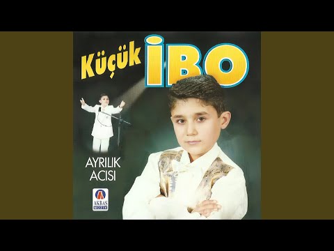 Sensiz Hayaller Kurdum