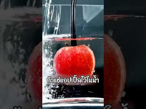 แช่แอปเปิ้ลไว้ 1 ปีมันกลายเป็นแบบนี้เลย