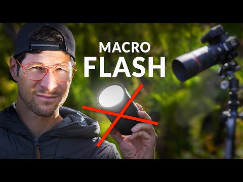 Flashes KILL Your Macro Photography Learning