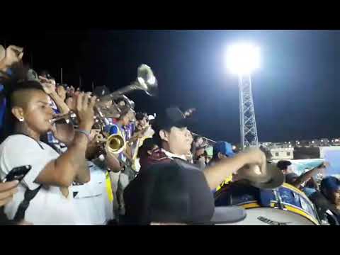 "LA BANDA CETACEA ðŸ’™ðŸ’› cantico de barra" Barra: La Banda Cetácea y Perro Muerto • Club: Delfín SC • País: Ecuador