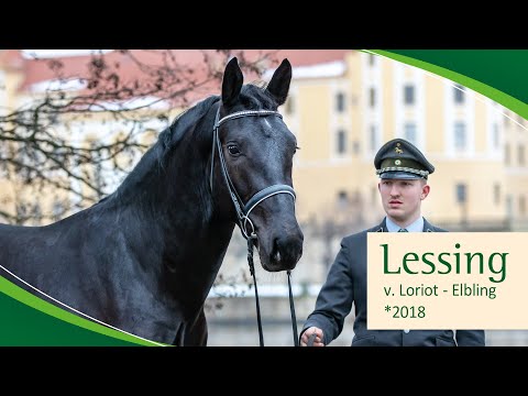 LESSING v. Loriot - Elbling