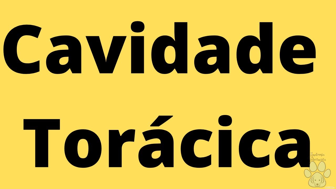 Cavidade Torácica