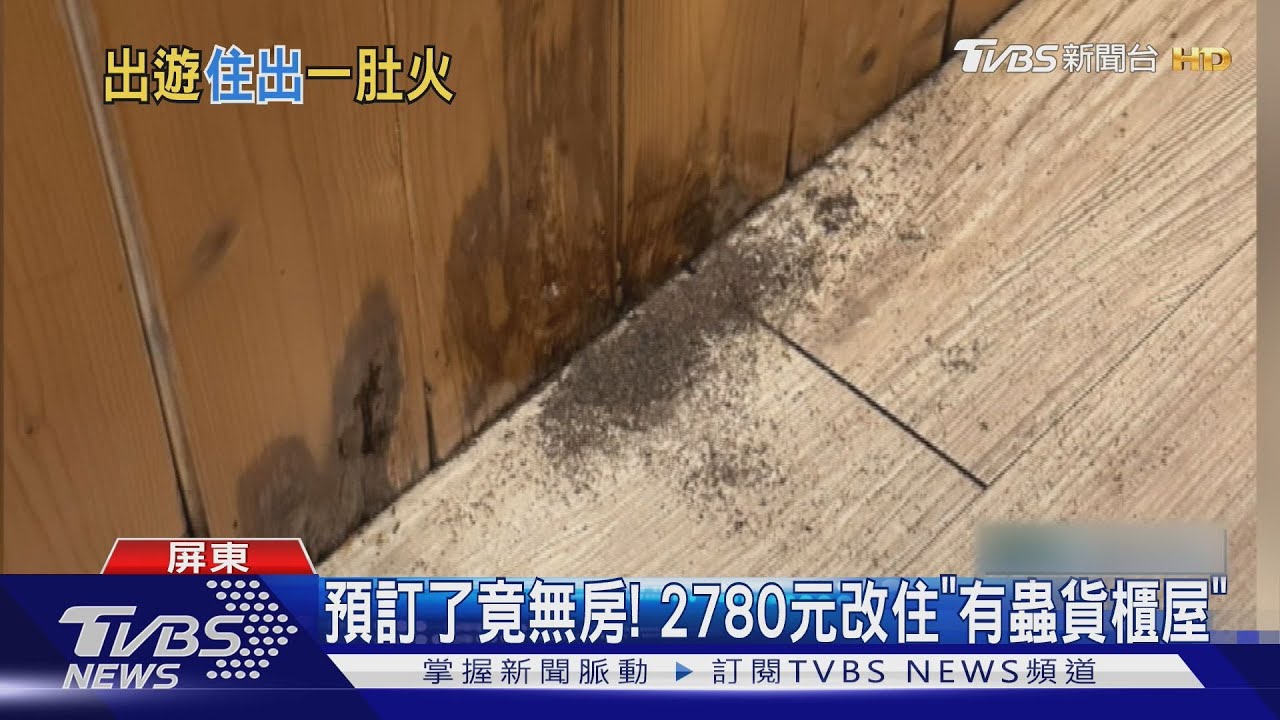 預訂了竟無房!2780元改住「有蟲貨櫃屋」 消費者:強迫中獎?