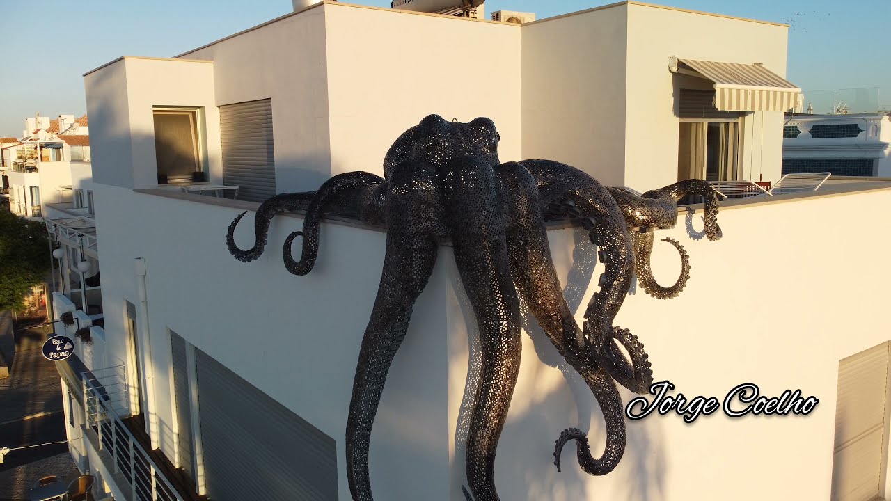 Polvo Gigante em Santa Luzia/Giant Octopus - Tavira - 4K