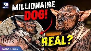 Fact Check: Did a Japanese Millionaire Spend Rs.220 Crore to Become a Dog?