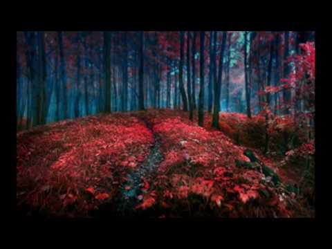 Dimension ft Amzie - Ecstasy (original mix)