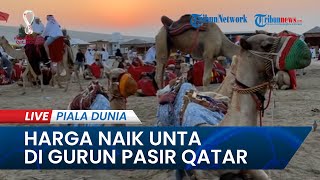 PIALA DUNIA 2022: Kocek yang Harus Dikeluarkan bila Ingin Menaiki Unta di Gurun Pasir Qatar