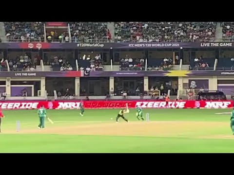 Warner six to Hafeez on dead ball, Aus vs Pak wc t-20