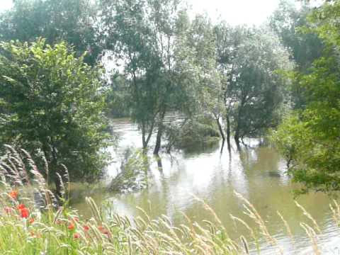 Sajóecseg melletti területek 2010.06.11.