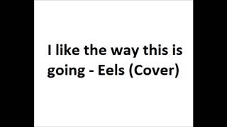 I like the way this is going -Eels (cover)