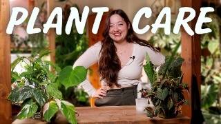 Potting up the most overgrown cuttings ever + Japan Storytime 🌱✈️