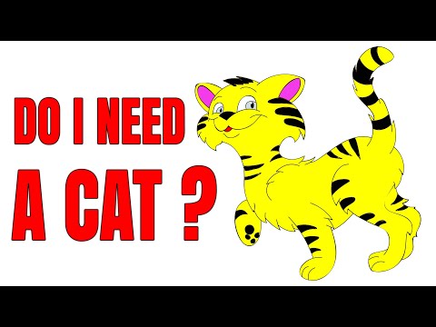 DO I REALLY NEED A CAT? 6 THINGS TO KNOW BEFORE GETTING A CAT/KITTEN!