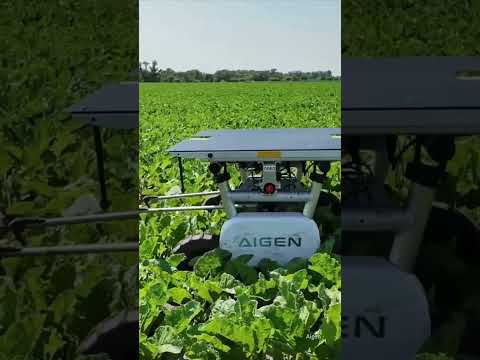 Aigen • Robotics • AI Generated Agriculture